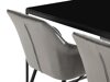 Маса и столове за трапезария Parkland 378 (Сив + Черен)