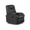 Tugitool recliner Houston 564 (Must)