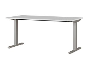 Állítható magasságú íróasztal Sacramento AL109 (Világosszürke + Szürke)