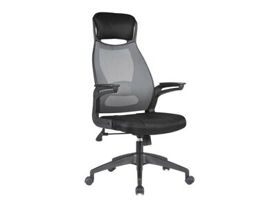 Biuro kėdė 45821