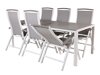 Tisch und Stühle Dallas 2325 (Grau + Weiß)