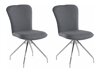 Kėdžių komplektas Denton 538 (Tamsi pilka + Sidabrinė)