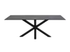 Tisch Oakland 505 (Grau + Schwarz)