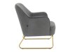 Fotelja Denton 327 (Siva + Zlatno)