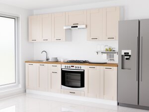 Virtuvės komplektas Modern 205