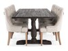 Маса и столове за трапезария Scandinavian Choice 590 (Beige)