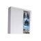 Vitrine murale Charlotte B101 (Blanc + Blanc brillant)