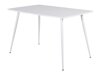 Asztal Dallas 4306 (Fehér)