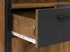 Cabinet de baie neancorat Denton G105 (Negru + Stejar inchis)