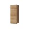 Armario de pared Providence B126 (Roble dorado)