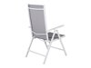 Dārza krēsls Dallas 740 (Pelēks + Balts)