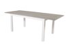 Outdoor-Tisch Dallas 1158 (Grau + Weiß)