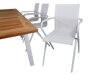 Σετ Τραπέζι και καρέκλες Dallas 1292