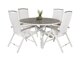 Tisch und Stühle Dallas 2347 (Weiss + Grau)