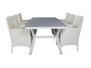 Tisch und Stühle Dallas 2987 (Weiß + Grau)
