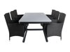 Tisch und Stühle Dallas 2987 (Schwarz + Grau)
