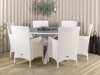 Conjunto de mesa y sillas Dallas 3018 (Blanco + Gris)