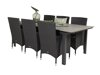 Tisch und Stühle Dallas 3030 (Schwarz + Grau)