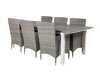 Tisch und Stühle Dallas 3030 (Weiß + Grau)