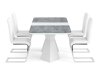 Маса и столове за трапезария Parkland 364 (Бял + Сребро)