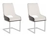 Set di sedie Denton 1043 (Bianco + Nero)
