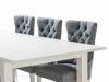 Set sala da pranzo Parkland 399 (Grigio + Bianco)