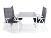 Tisch und Stühle Riverside 493 (Grau)