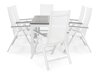 Conjunto de mesa y sillas Comfort Garden 229