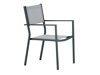 Tisch und Stühle Dallas 3469 (Grau)