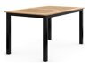 Laua ja toolide komplekt Comfort Garden 1126