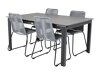 Tisch und Stühle Dallas 3506 (Grau)