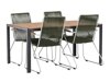 Tisch und Stühle Dallas 3614 (Grün + Silber)