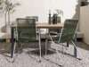 Conjunto de mesa e cadeiras Dallas 3614 (Verde + Prata)
