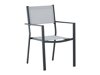 Tisch und Stühle Dallas 3641 (Grau + Schwarz)