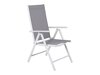 Tisch und Stühle Dallas 2752 (Grau + Weiß)