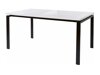 Asztal Denton 272 (Fehér + Fekete)