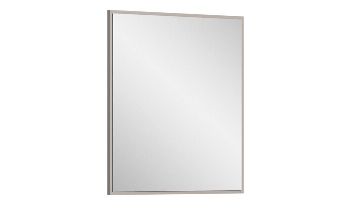 Spogulis 494407