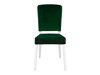 Cadeira Boston 445 (Verde escuro + Branco)