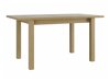 Table Victorville 120 (Blanc)