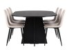Маса и столове за трапезария Dallas 4032 (Beige + Черен)