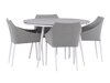Σετ Τραπέζι και καρέκλες Dallas 4089 (Γκρι + Άσπρο)