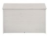 Caja de almacenamiento Denton A111 (Blanco)
