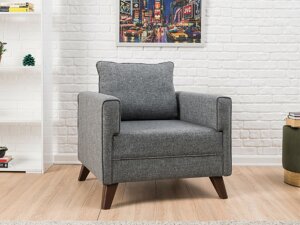 Fotelja Altadena B101 (Siva)