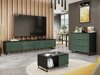 Tv galds Sarasota M103 (Zaļš + Melns)