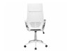Biuro kėdė Berwyn 208 (Balta + Pilka)