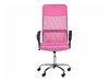 Biuro kėdė Berwyn 267 (Rožinė)