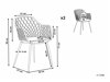 Kėdžių komplektas Berwyn 1601 (Pilka)