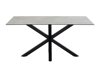 Asztal Oakland 582 (Szürke + Fekete)
