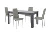 Маса и столове за трапезария Denton 600 (Сив + Сребро)