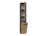 Cabinet de baie neancorat Mandeville B107 (Antracit + Stejar Artisan)